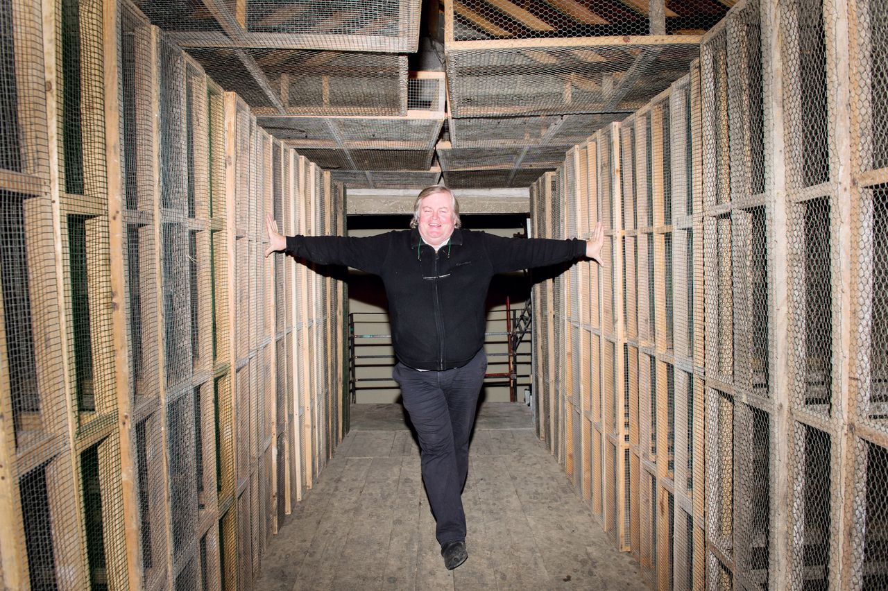 Vins Vigneron François Mossu Mossu-0012